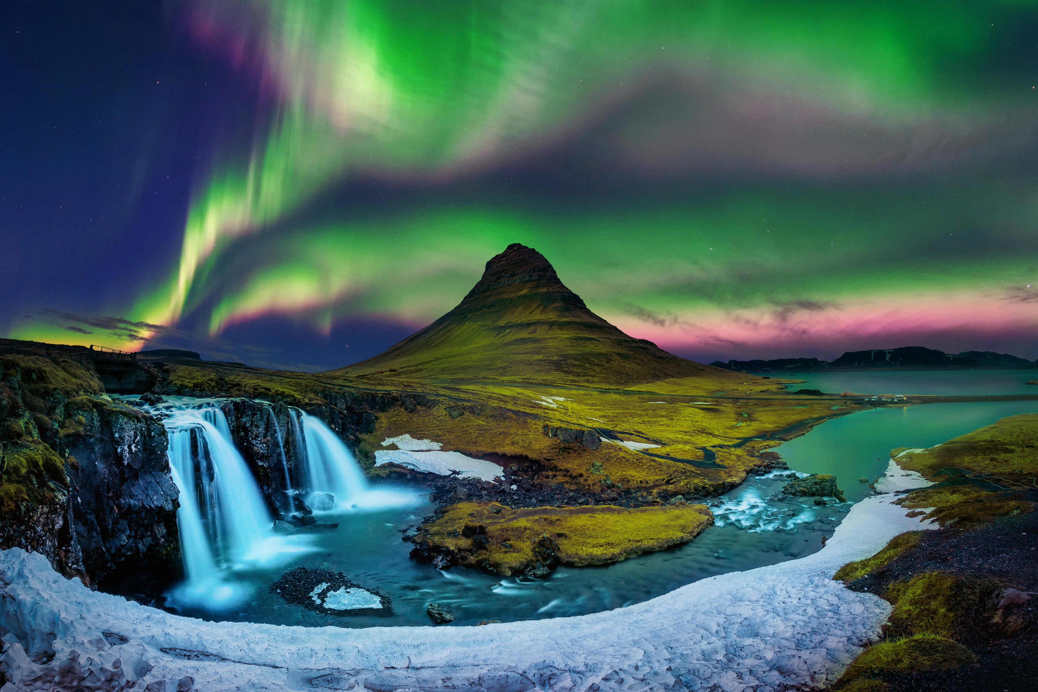 2024 Harley Davidson Softail Standard